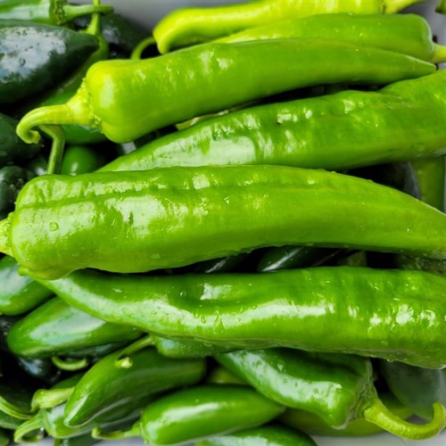 plant: veg: Pepper Hot, Anaheim, Biggie Chili
