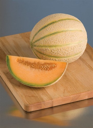 plant: veg: melon, Cantaloupe, Short Season