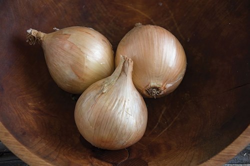 plant: veg: Onion, storage