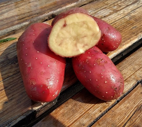 Potatoes, French Fingerling