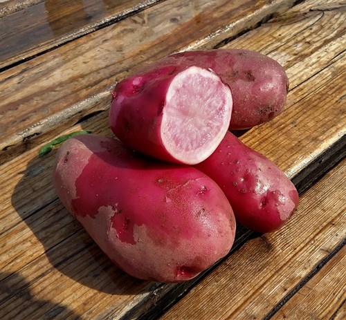 Potatoes, Terra Rosa